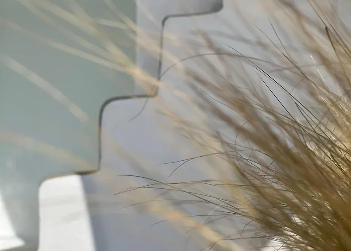 三角洲套房别墅 公寓 伊亚